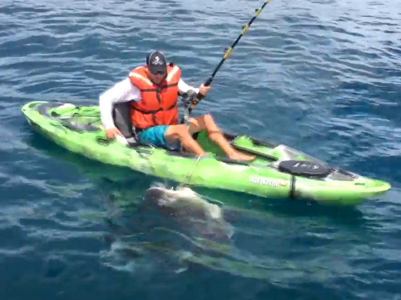 Shark Pulls Florida Fisherman From Kayak People