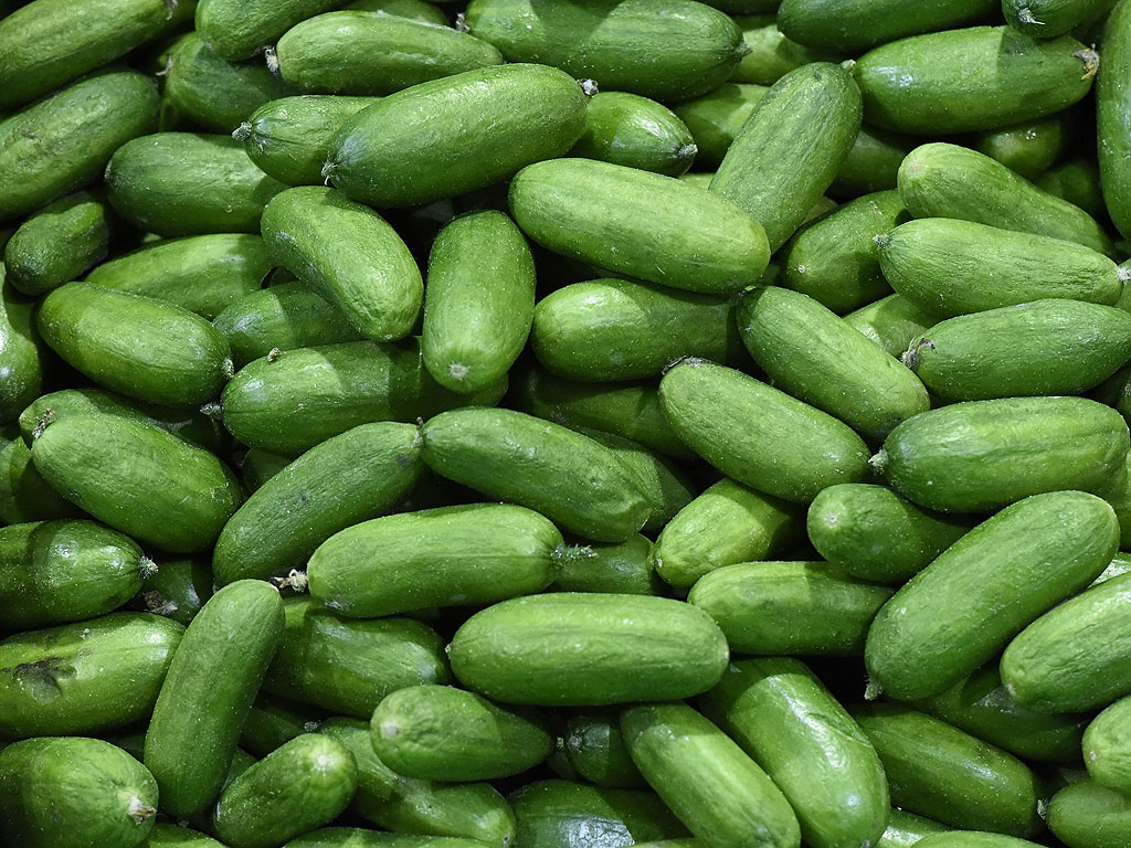 Salmonella Outbreak Kills Two Tied To Cucumbers