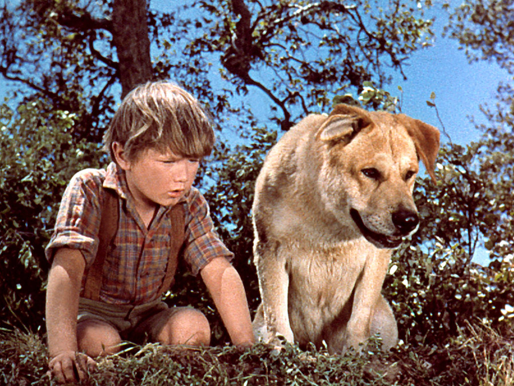 Old Yeller Actor Kevin Corcoran Loses Battle with Colorectal Cancer
