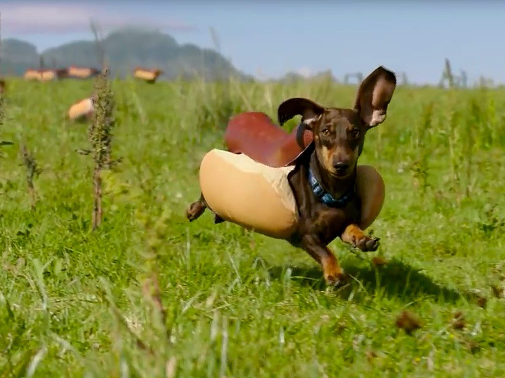 super-bowl-commercial-2016-heinz-puppy-gifs-people