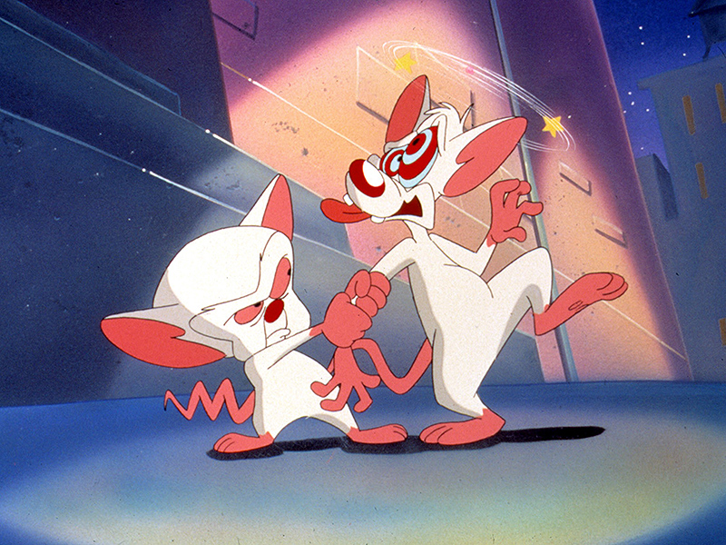 pinky and the brain puppet rulers