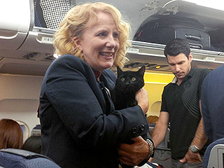 Stowaway Cat Discovered Under Seat During Air Canada Flight