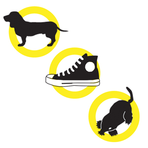 dog, sneaker and mole icons inside hollow yellow circles