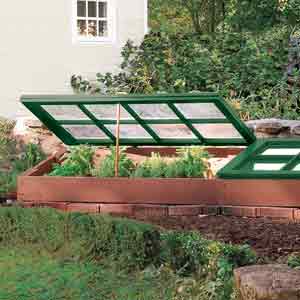 DIY cold frame for fall vegetable gardening