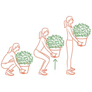 illustrated guide for how to lift heavy objects properly in yard and garden