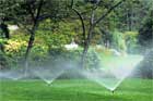 11 Ways to Save Water, Time, and Money on Your Landscape