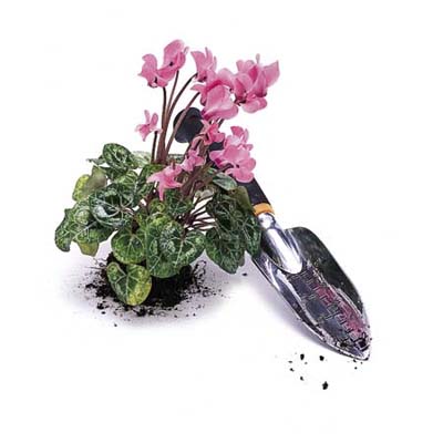 trowel