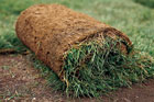 How to Lay Sod