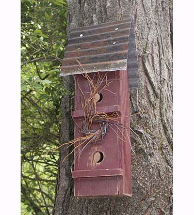 nest box attached to tree trunk for wrens, nuthatches and chickadees
