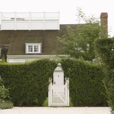 privet hedge forming convex gate