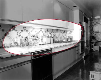 floral backsplash and counters