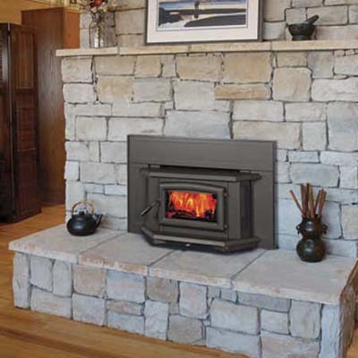 Fireplace Insert Ideas