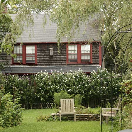 Weeping willow and Sharon shrubs