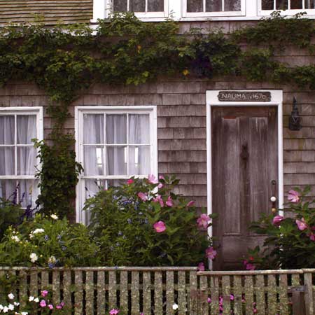 a lichen-encrusted fence complements a rustic cottage garden