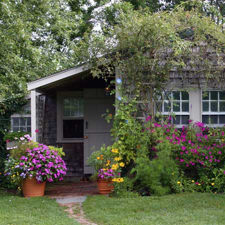 companion planting adds contrast and energy