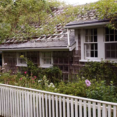 rooftop latticework improves circulation around plants