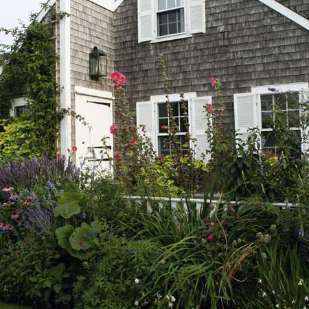 order your plants from shortest to tallest, front to back.