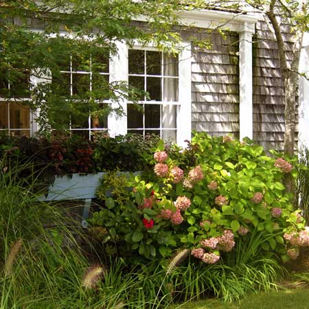 corners under deciduous trees offer light sun or shade
