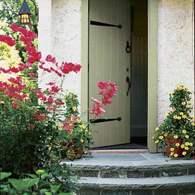 black-eyed susan vines in pots on front stoop