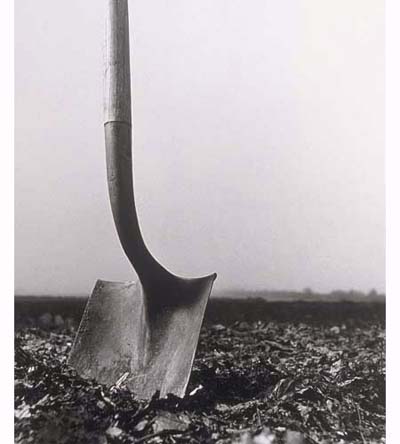 shovel
