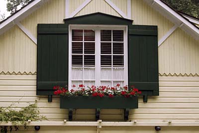 Window box with exterior paint