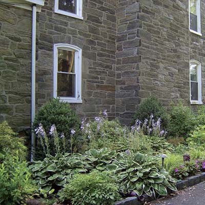 Planting Around the Foundation