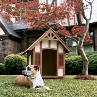 english-style tudor doghouse