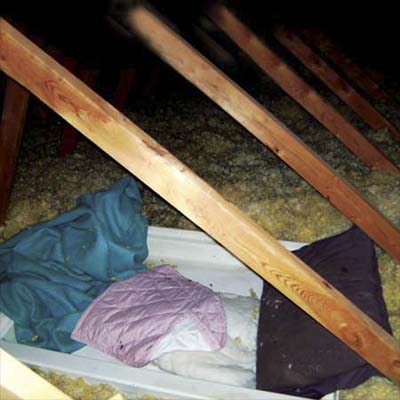 bed setup among the insulation in the attic