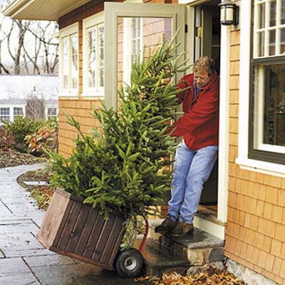 man dragging a boxed christmas tree through a door into a house