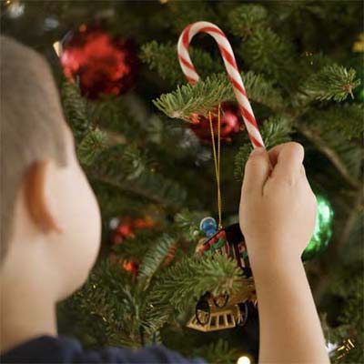 child taking a candy cane off a decorated tree