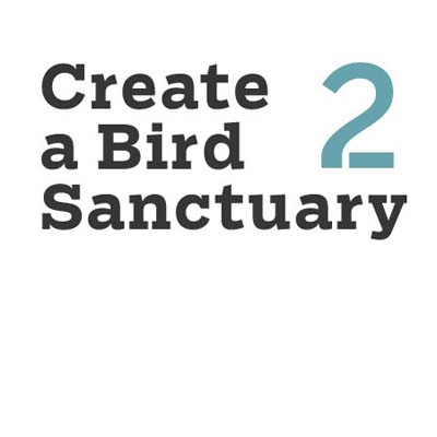 create a bird sanctuary