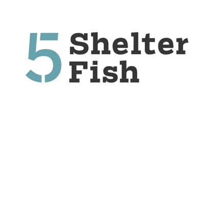 use the christmas tree branches to shelter fish