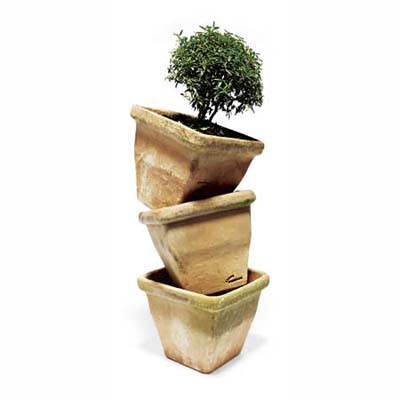 unusual square-shaped potting containers with vintage style