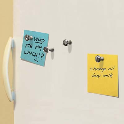 refrigerator magnets that look like screws