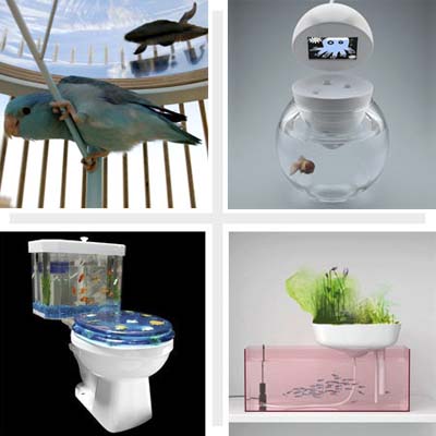 composite of four pet palaces: aquariums pictures