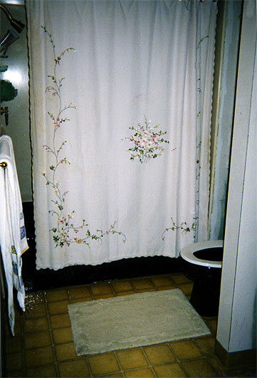 Great Adaptations Heck Bathroom Shower After