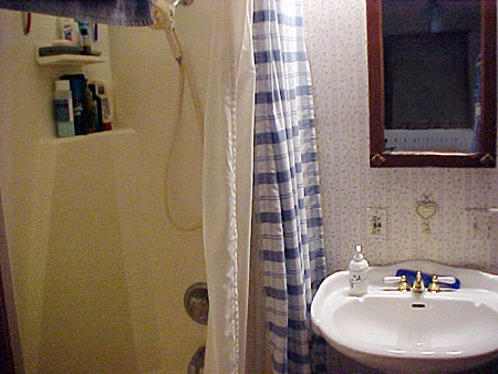 Great Adaptations Before Schaflein Bath 