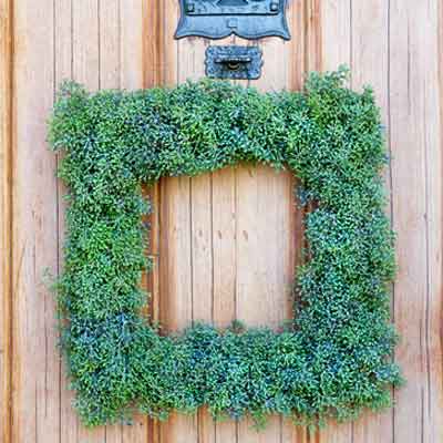 Living eucalyptus wreath