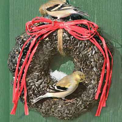birdseed wreath