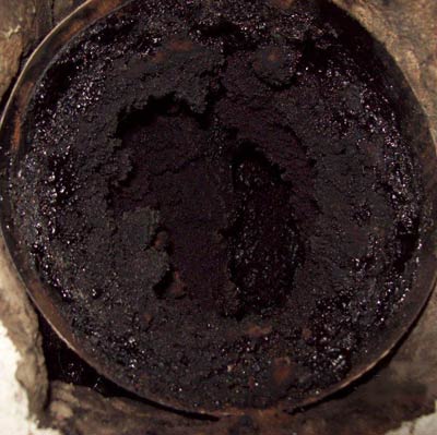 clogged up chimney seen on home inspection