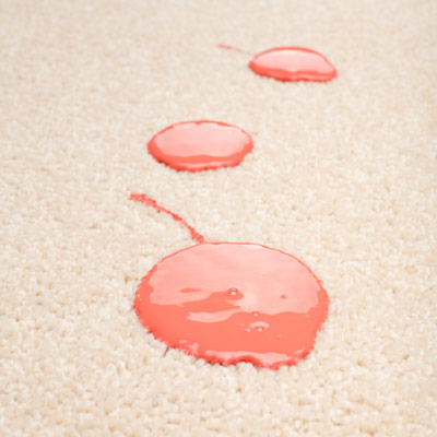 paint spill on carpet