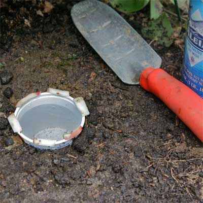 yogurt cups used to make a slug trap in the yard