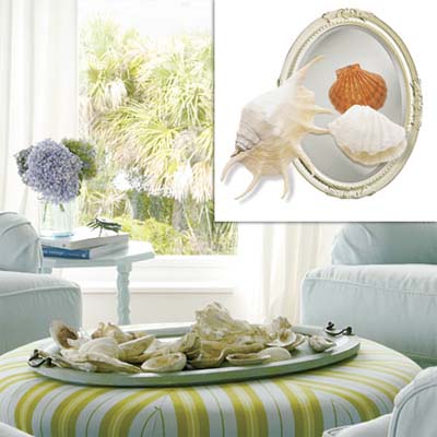shells displayed on a mirror resting on an ottoman