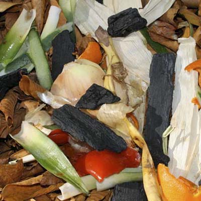pieces of charcoal scattered in the compost heap