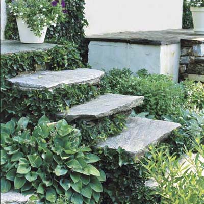 stone garden steps surrounded by foliage