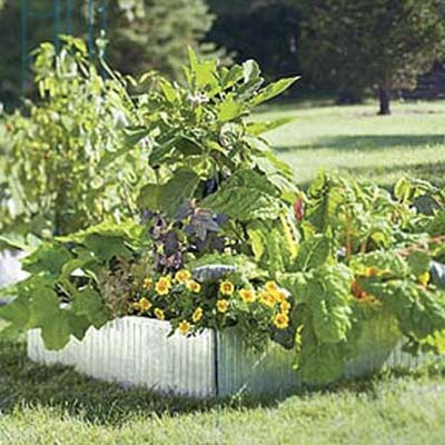 raised garden bed