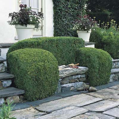 green shrubs planted around stone garden bench