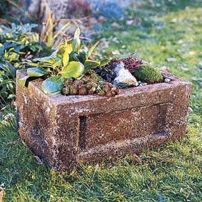 hypertufa trough filled with plants