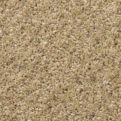 cut pile wall to wall carpeting