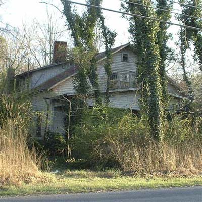 house exterior covered with trees